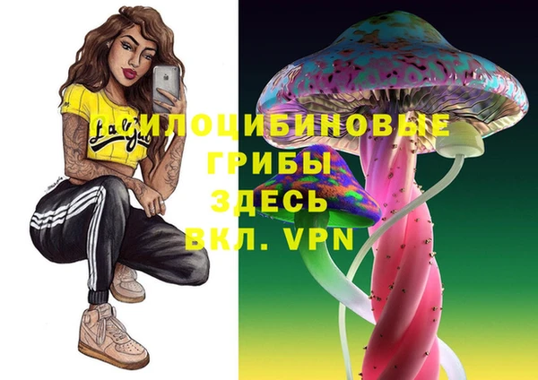 скорость Алзамай