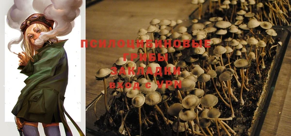 PSILOCYBIN Новозыбков