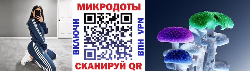 Галлюциногенные грибы Psilocybine cubensis Суджа